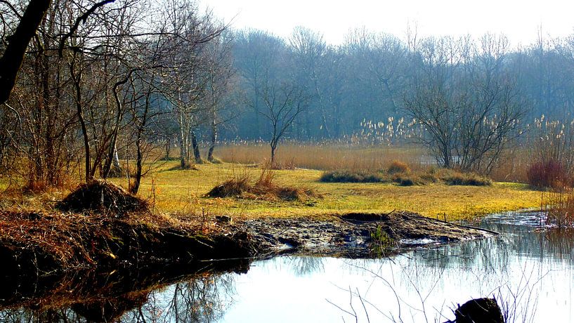 Tennelaplas ZH by Koos Iperen