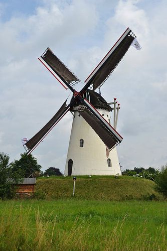 Molen De Volharding in Zeddam draaiend met vlaggen