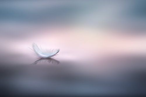 Der Klang der Stille