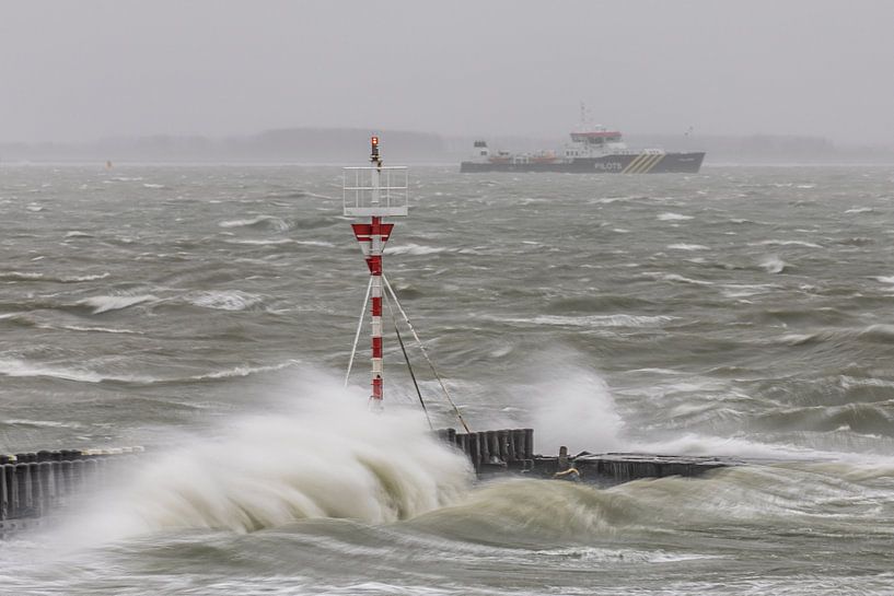 Sturm Bella von Linda Raaphorst