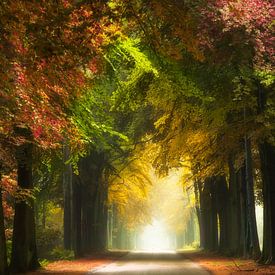 Omarming van de herfst van Fabrizio Micciche