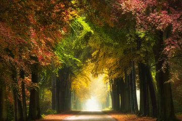 Omarming van de herfst van Fabrizio Micciche