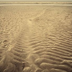 Ribbelig zand werk van Martijn Tilroe