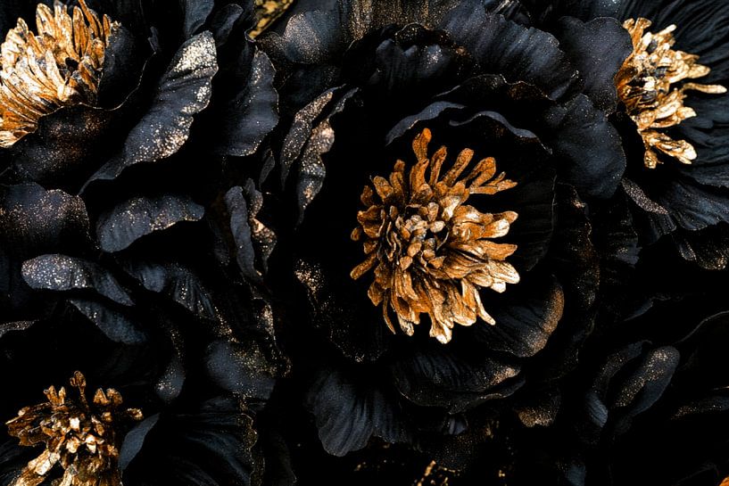 Vintage Botanical night charm - Black flowers by Floral Abstractions