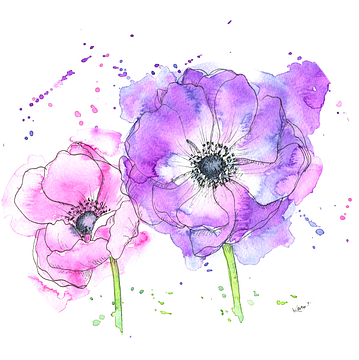 Anemoonbloemen in roze en paars van Karen Kaspar