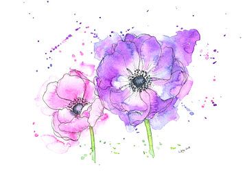 Anemone flowers in pink and purple by Karen Kaspar