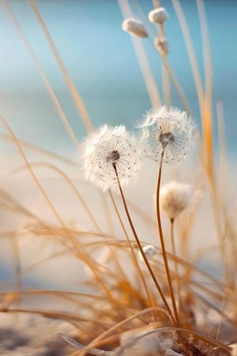 Beach Impressions No 4