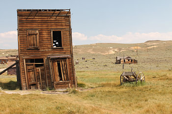 Bodie