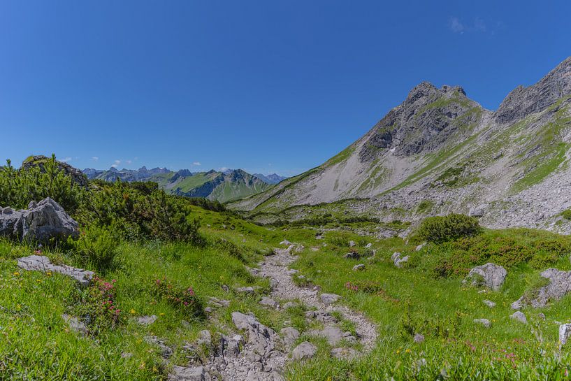 Hiking trail by Walter G. Allgöwer