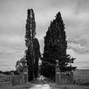 Italië in vierkant zwart wit, Villa Fagnano, Castelnuovo Berardenga van Teun Ruijters thumbnail
