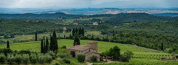 Hillside in monti del chianti