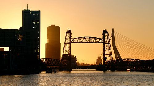 Rotterdam skyline De Hef and Erasmus bridge at sunset by Klik! Images