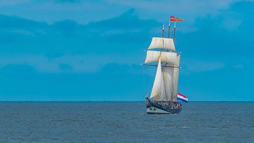 Dreimast-Schoner Oosterschelde von Harry Eggens