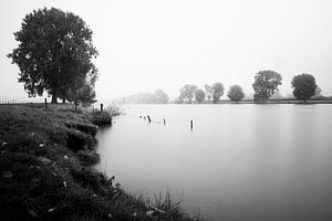 Fluss Nebel von Martijn van den Enk
