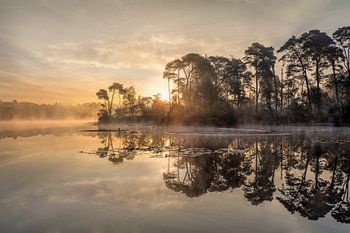 Sunrise at a lake with a peninsula and rising mist