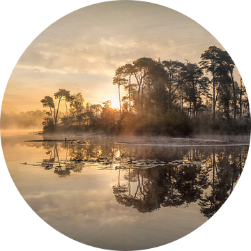 Zonsopgang op een meer met een schiereiland en stijgende mist van Tony Vingerhoets