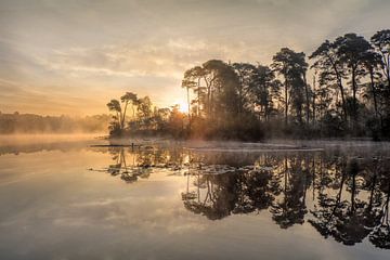 Zonsopgang op een meer met een schiereiland en stijgende mist van Tony Vingerhoets