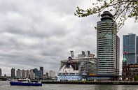 Harmony of the Seas in Rotterdam van Richard Driessen thumbnail