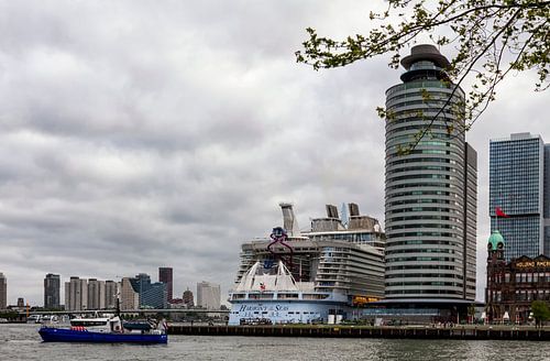 Harmony of the Seas in Rotterdam