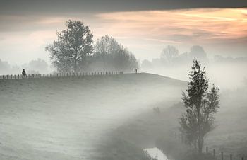 Wandern im Nebel