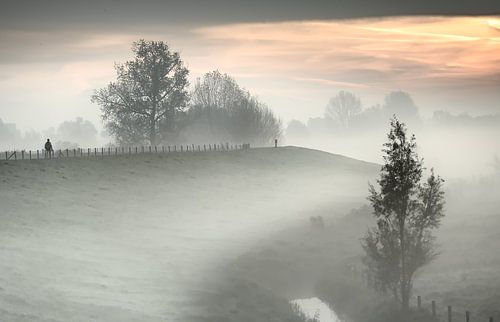 Wandern im Nebel