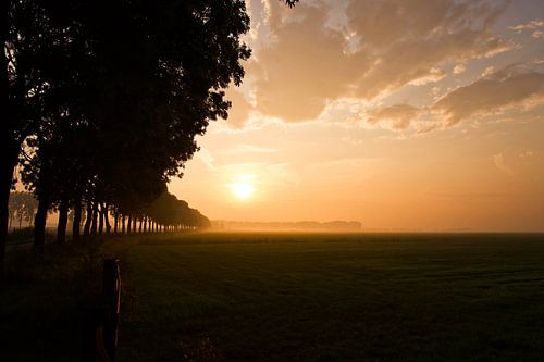GutenGutenMorgen....