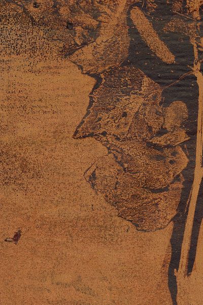 Rustic leaves in black and terra by Dina Dankers