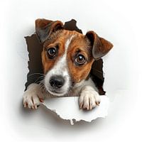 Dog out of the wall