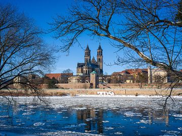 Magdeburg and the Elbe in winter by t.ART