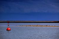 Ria Formosa