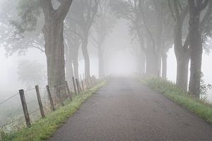 Digue du Biesbosch dans le brouillard