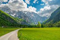 Logar Valley in de Kamnik Savinja Alpen in Slovenië tijdens de lente van Sjoerd van der Wal Fotografie thumbnail