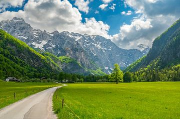 Logar Valley in de Kamnik Savinja Alpen in Slovenië tijdens de lente van Sjoerd van der Wal Fotografie