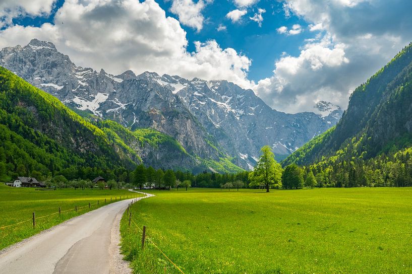 Logar Valley in de Kamnik Savinja Alpen in Slovenië tijdens de lente van Sjoerd van der Wal Fotografie