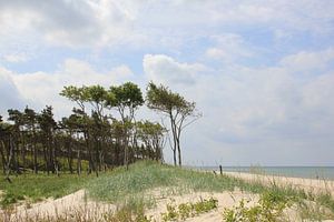 Am Weststrand