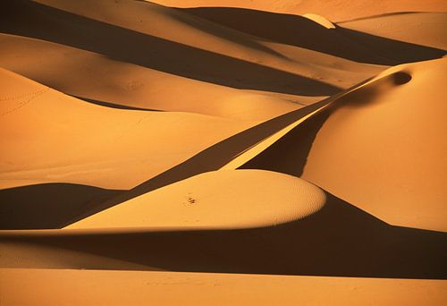 Sand dunes in Sahara desert