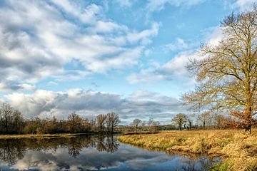 de Maasarm, natuurgebied in Limburg van Tilly Meijer