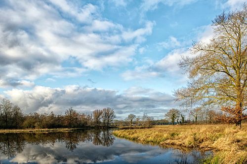 de Maasarm, natuurgebied in Limburg