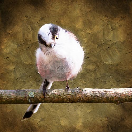 Tailed titmouse on a branch (painting)