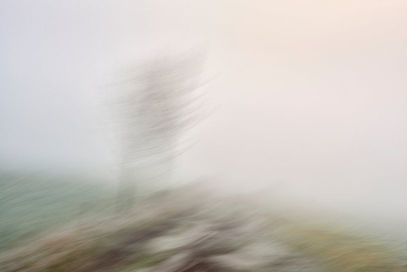 De aarde draait dus toch.... van Jenco van Zalk