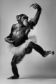 Ballerina monkey by Poster Art Shop