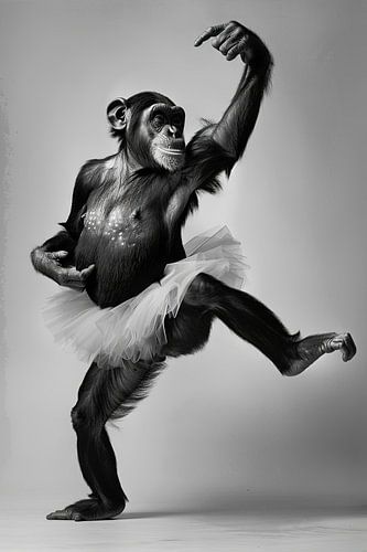 Ballerina aap