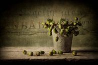 Still life 51 by jejaka art thumbnail