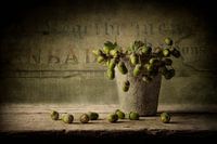 Nature morte 51