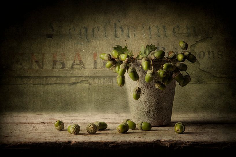 Still life 51 by jejaka art