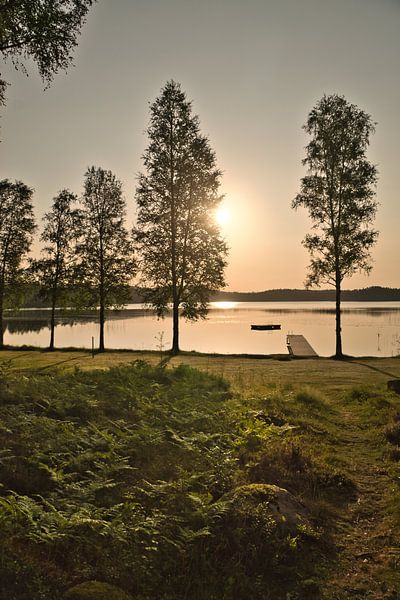 Sunlight floods the forest by the lake with huts, peaceful natural idyll by Martin Köbsch