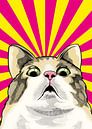 Bange kat meme van Adam Khabibi thumbnail