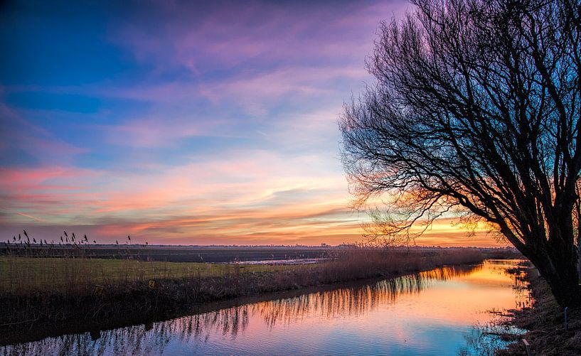 Het pallet van Reint van Wijk
