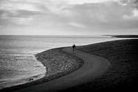 Lonely cyclist on the dike near Oosterend on Terschelling.