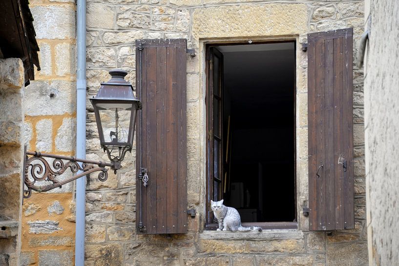 Kat in het venster. von Maren Oude Essink